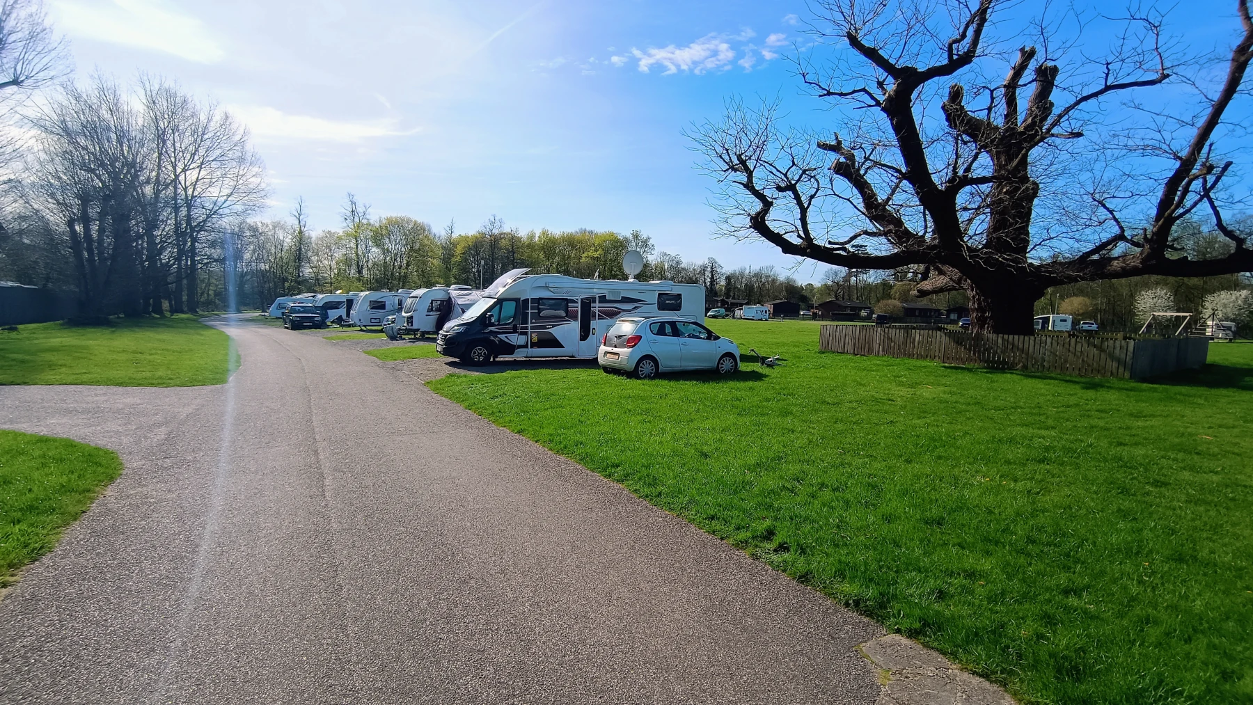 Woodland pitches at Theobalds Park